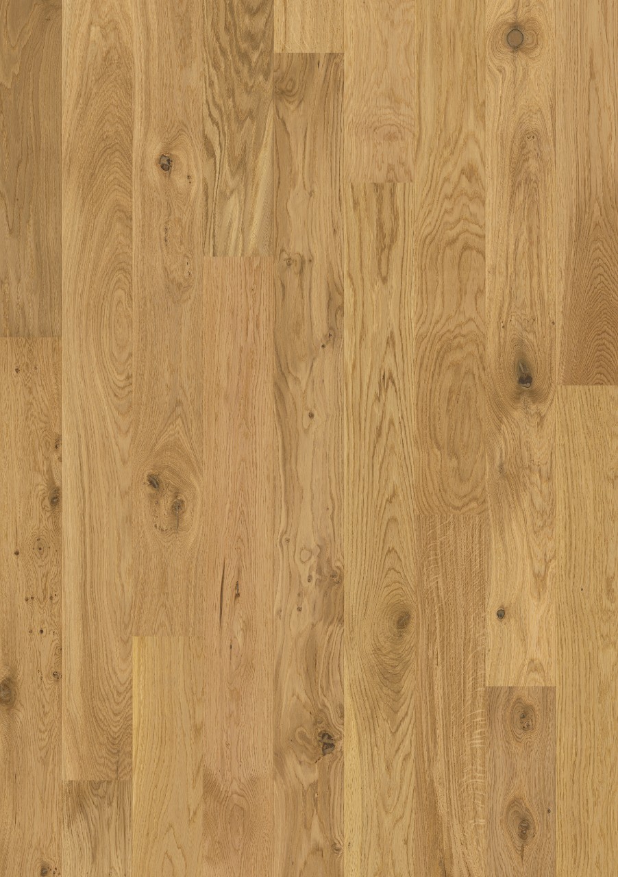 Boen дуб Alamo. Boen дуб Rustic. Honey Oak 8088. Oak Honey Floor.